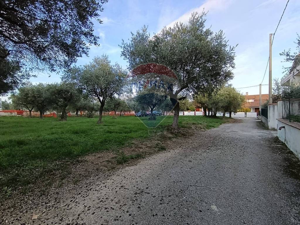 immagine annuncio 4 di 9