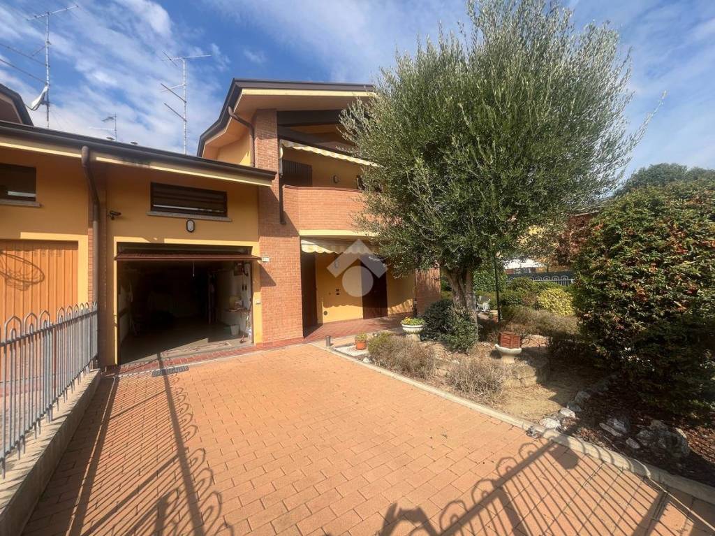 immagine annuncio 3 di 15