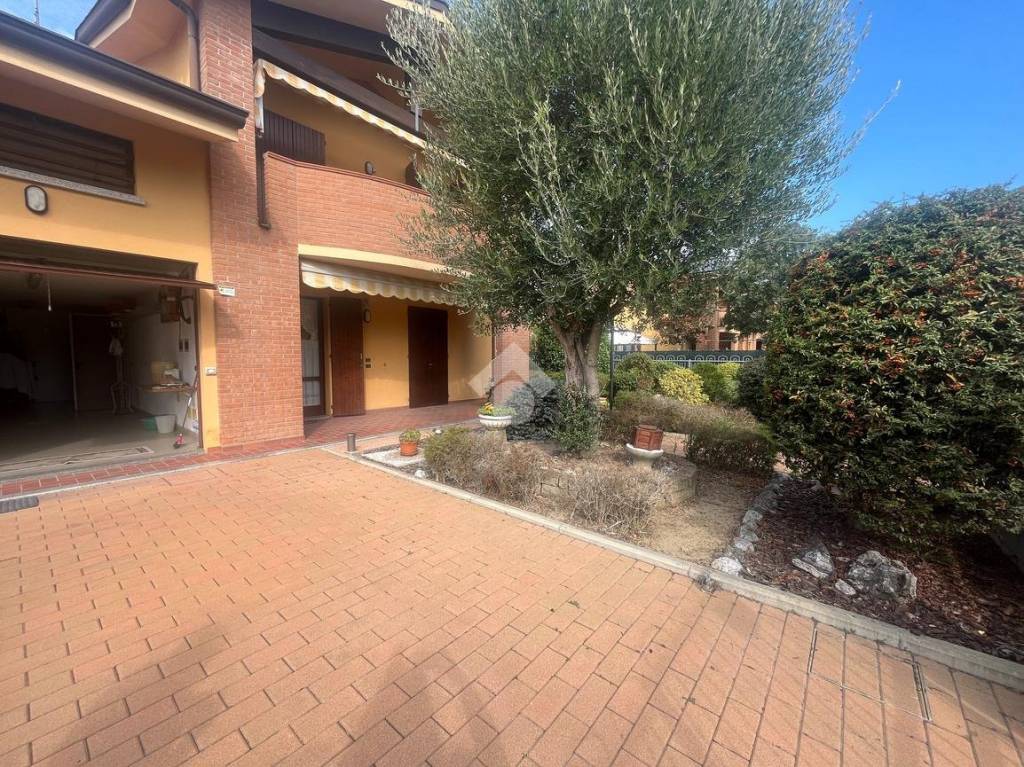 immagine annuncio 6 di 15