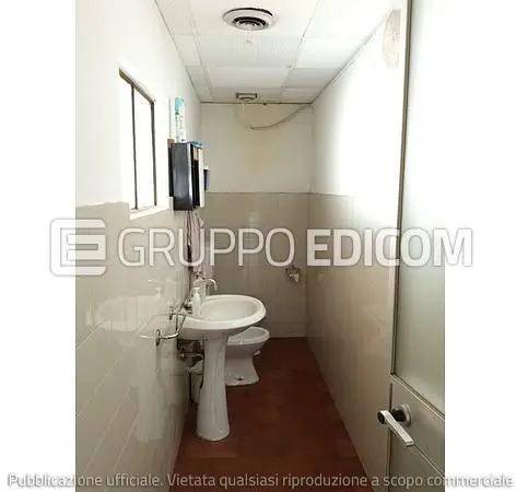 immagine annuncio 2 di 14