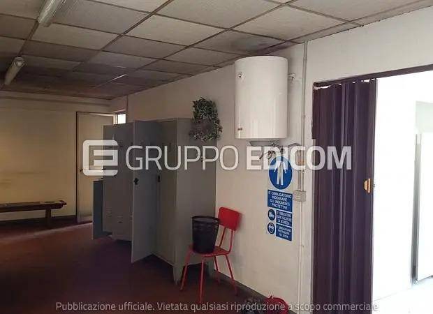 immagine annuncio 3 di 14