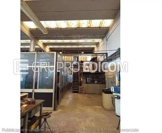 immagine annuncio 4 di 14