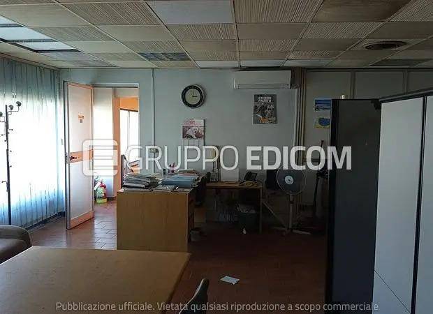 immagine annuncio 5 di 14