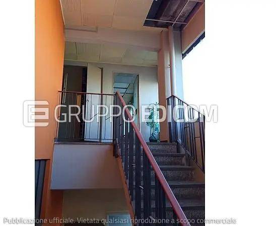 immagine annuncio 6 di 14