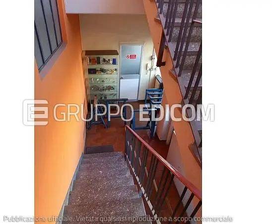 immagine annuncio 7 di 14