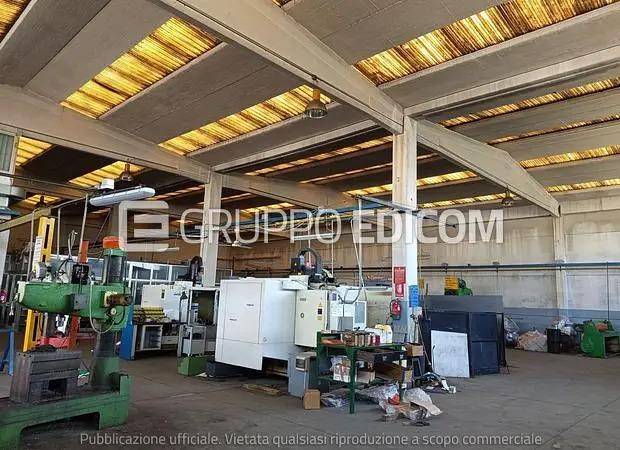 immagine annuncio 8 di 14