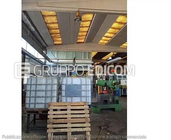 immagine annuncio 9 di 14