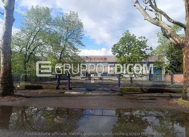 immagine annuncio 11 di 14