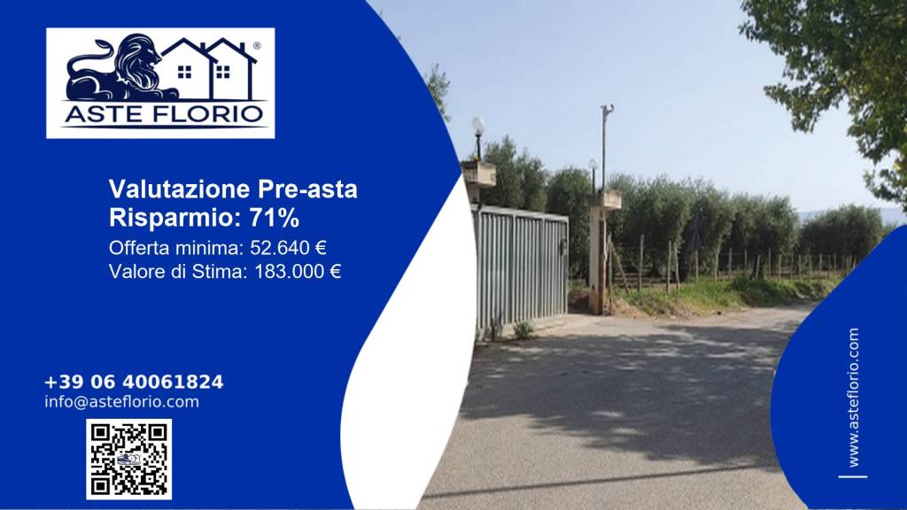 immagine annuncio 1 di 12