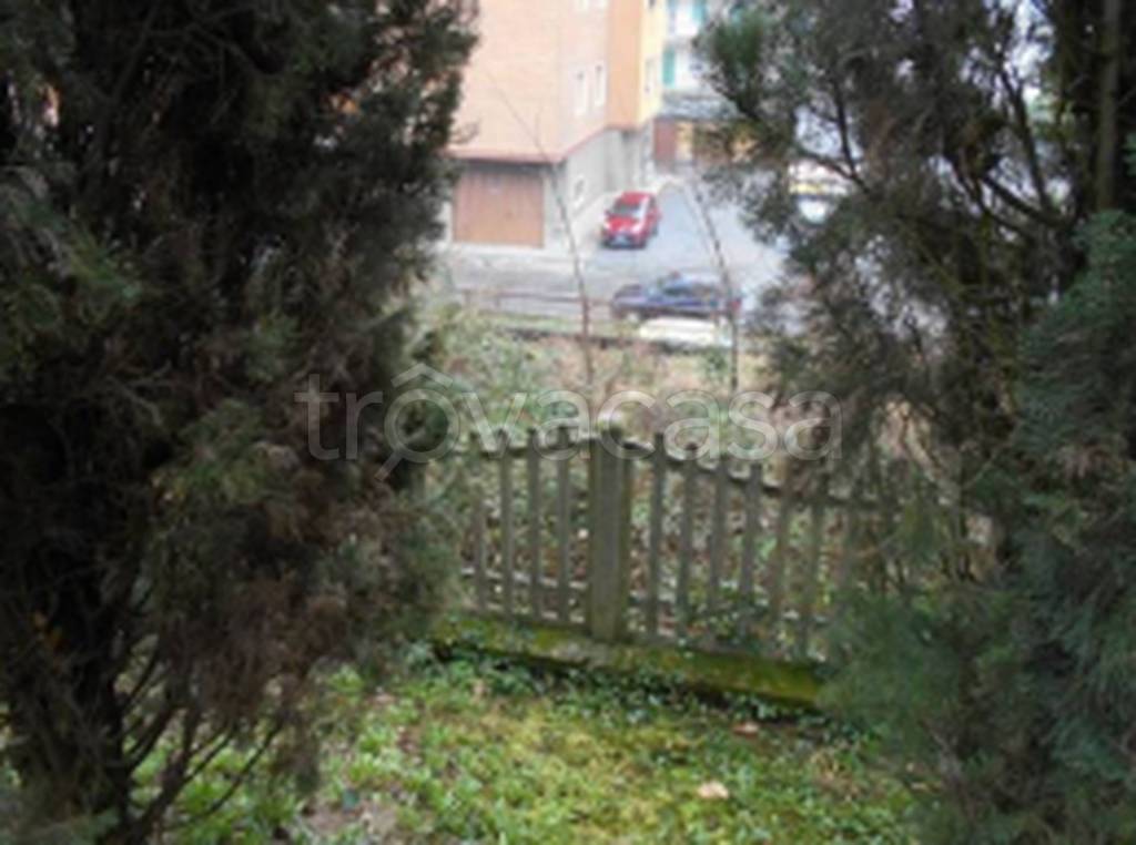 immagine annuncio 9 di 12