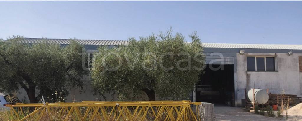 immagine annuncio 6 di 11