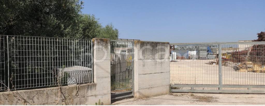 immagine annuncio 7 di 11