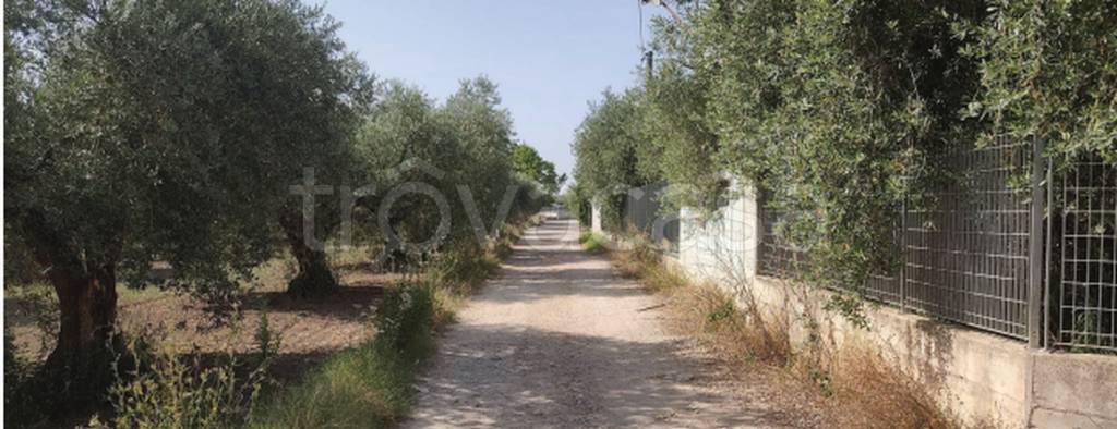 immagine annuncio 8 di 11