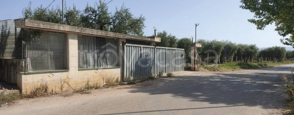 immagine annuncio 10 di 11