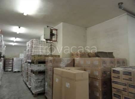 immagine annuncio 2 di 6