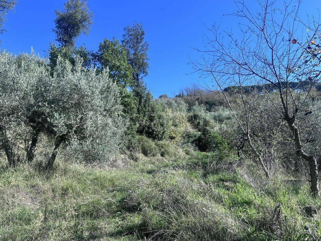 immagine annuncio 5 di 13