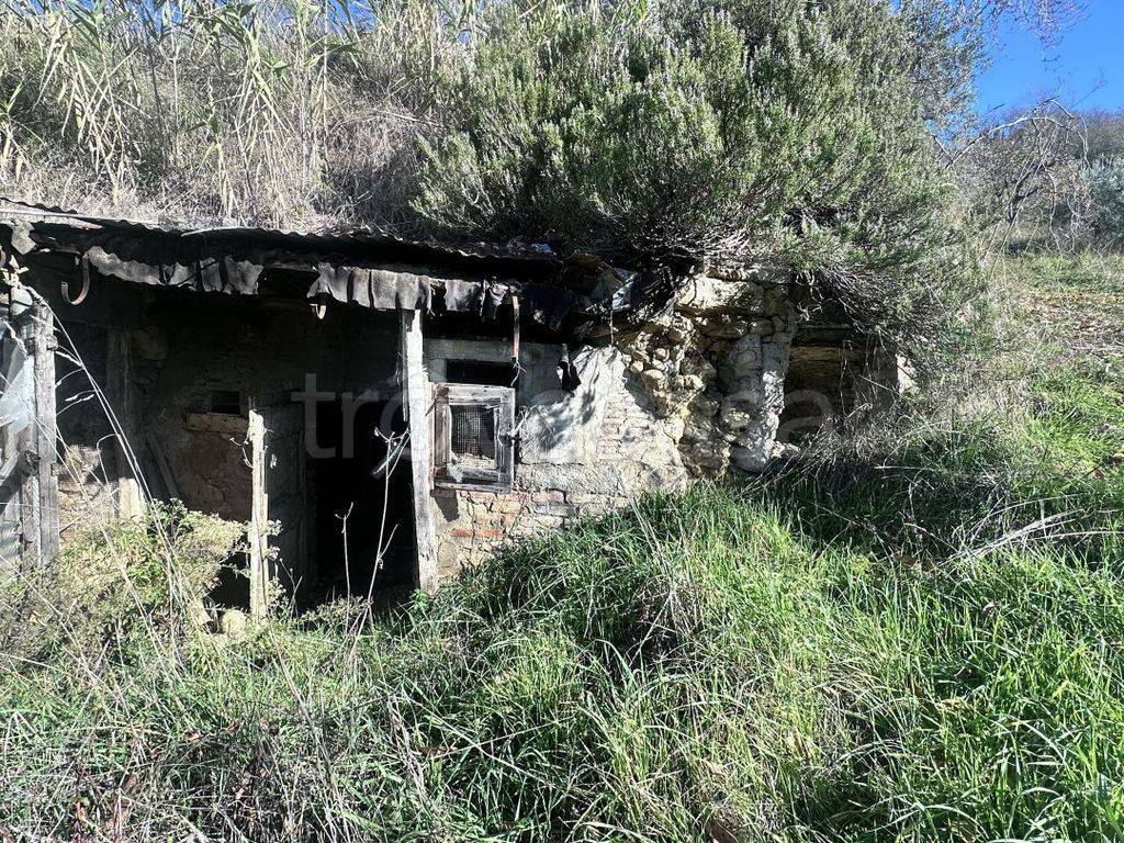 immagine annuncio 8 di 13