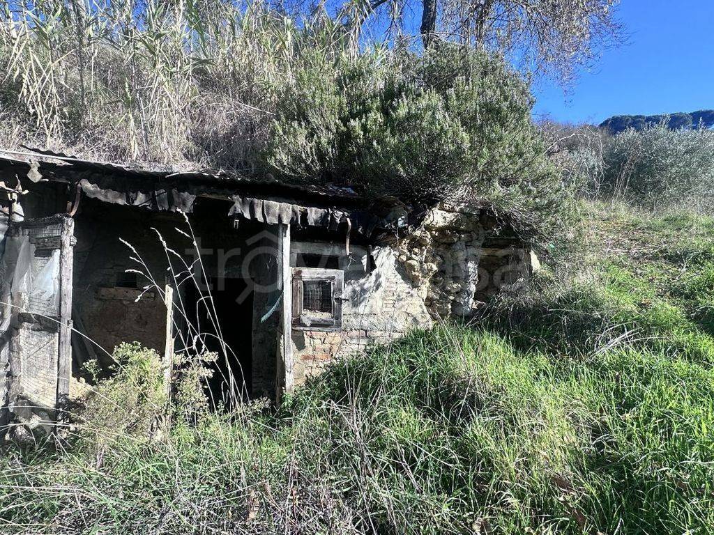 immagine annuncio 9 di 13