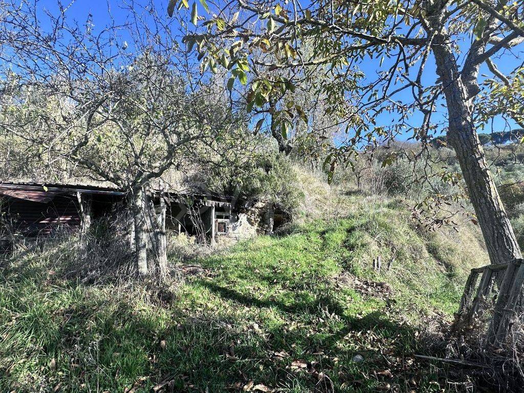 immagine annuncio 10 di 13