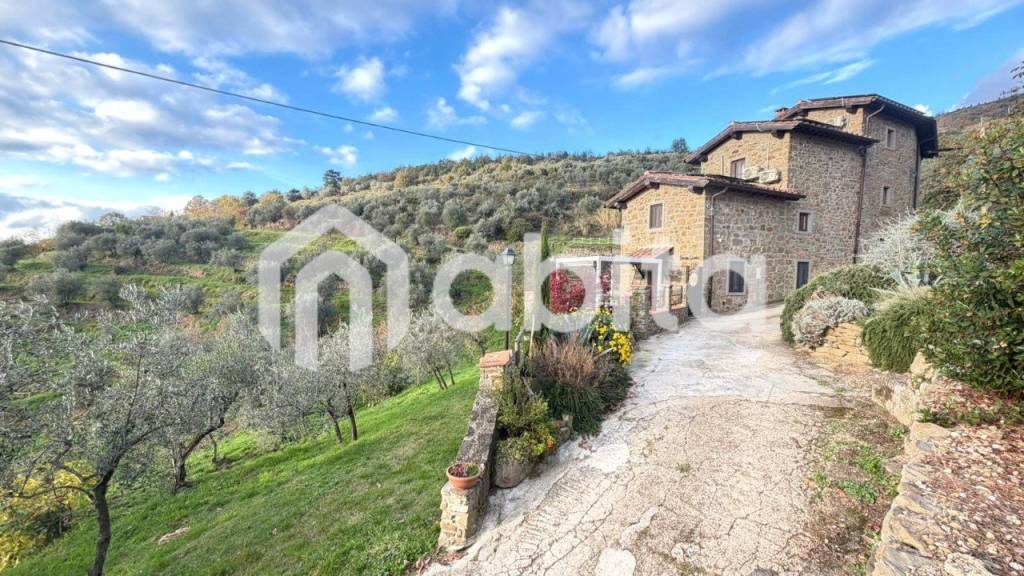 immagine annuncio 9 di 14