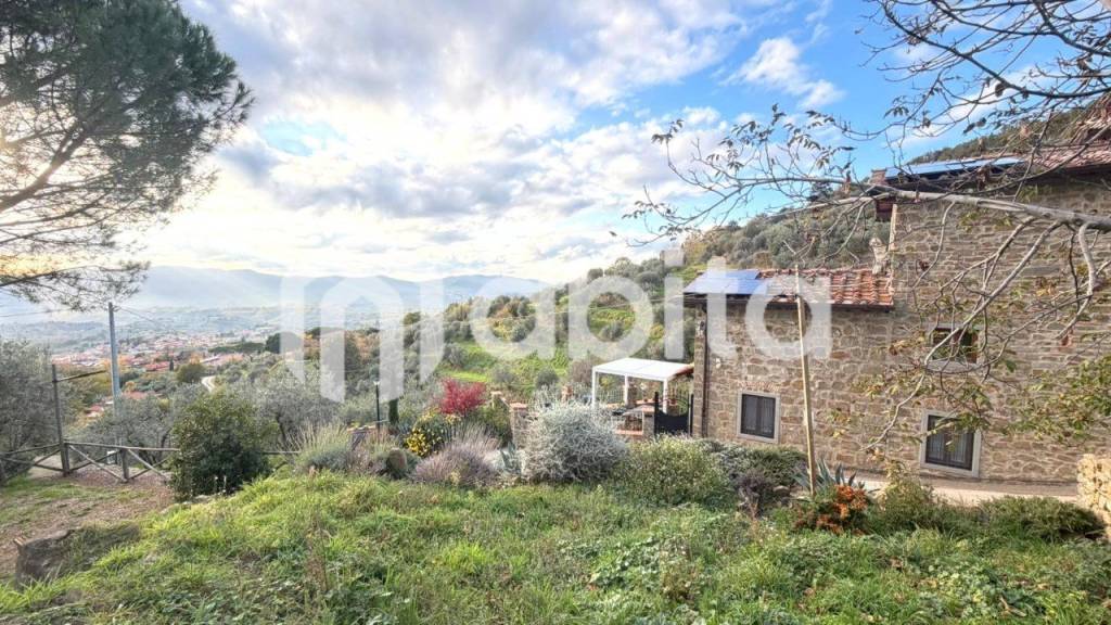 immagine annuncio 10 di 14