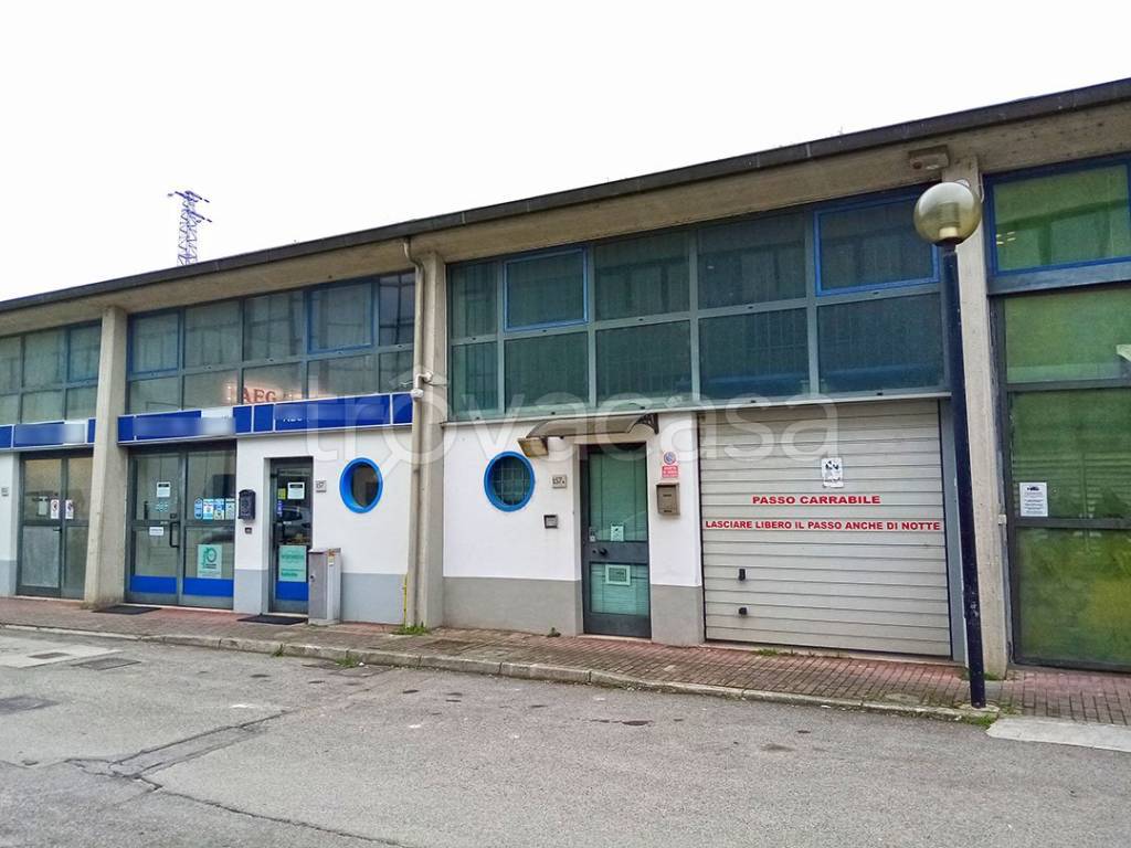 immagine annuncio 7 di 15