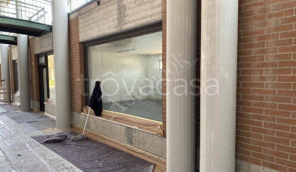 immagine annuncio 2 di 8