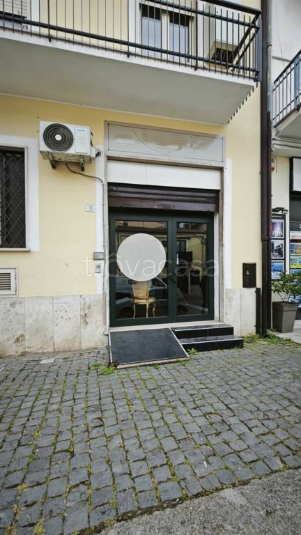 immagine annuncio 0 di 15