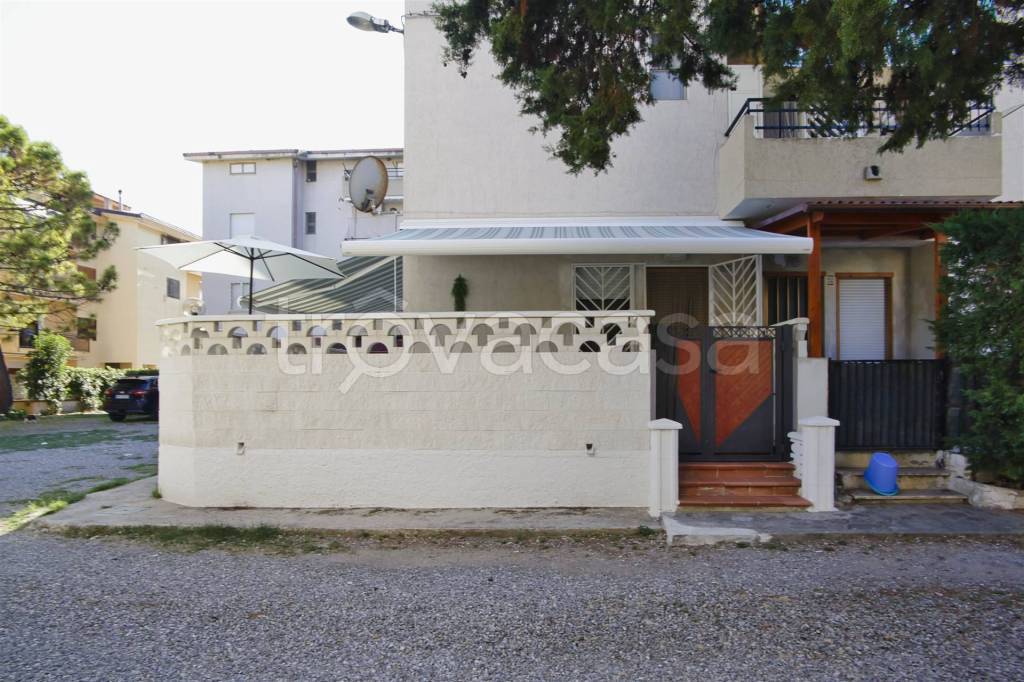 immagine annuncio 1 di 14