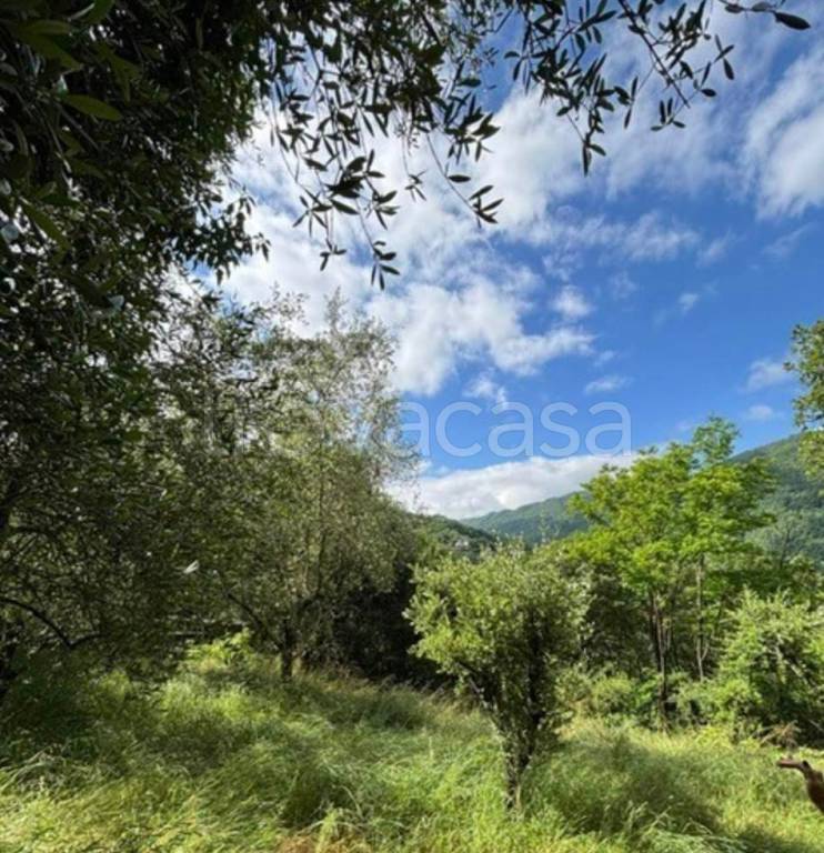 immagine annuncio 3 di 6