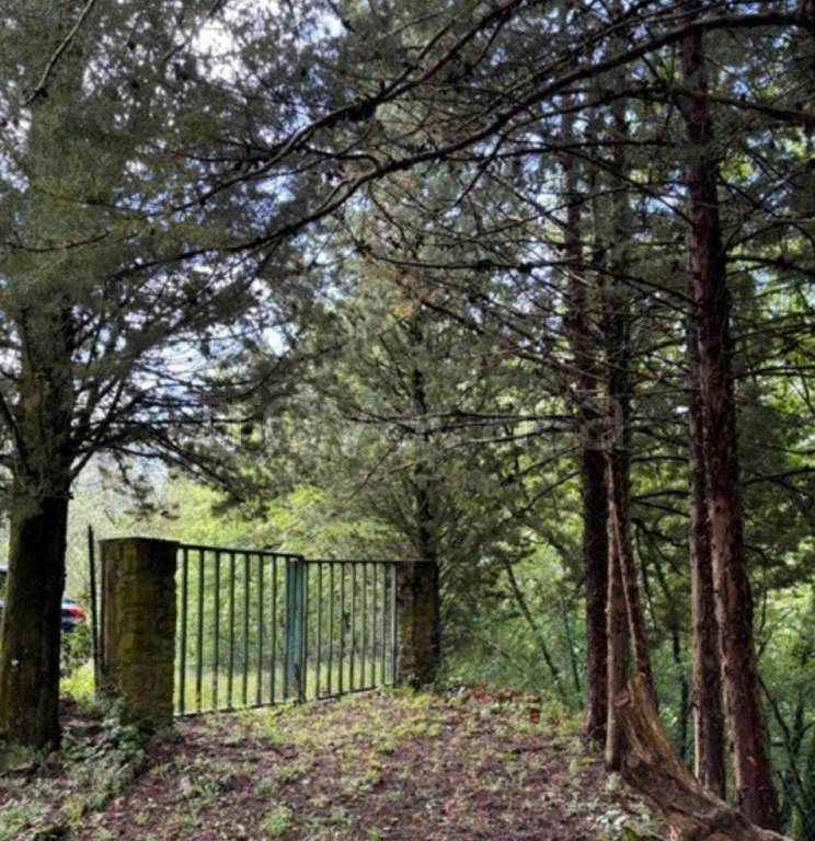 immagine annuncio 4 di 6