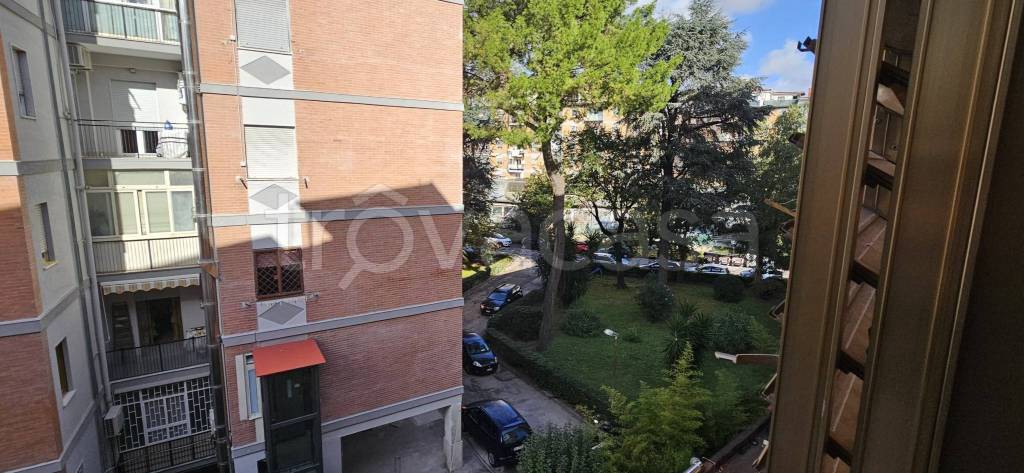 immagine annuncio 13 di 14