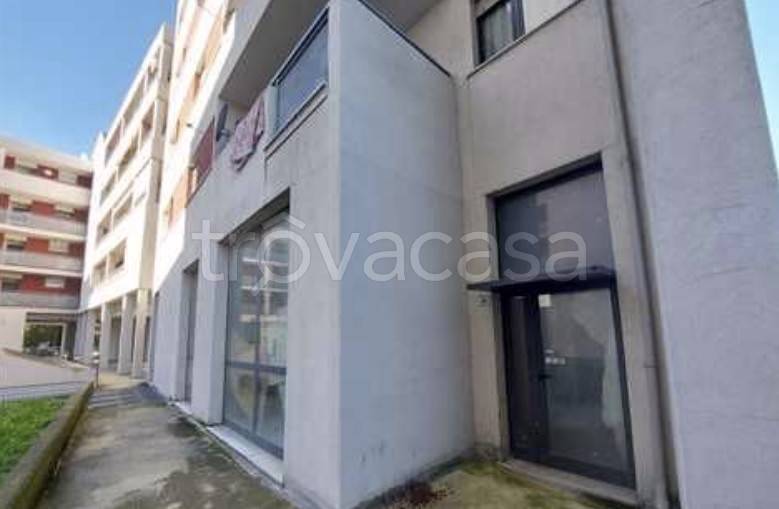 immagine annuncio 4 di 8