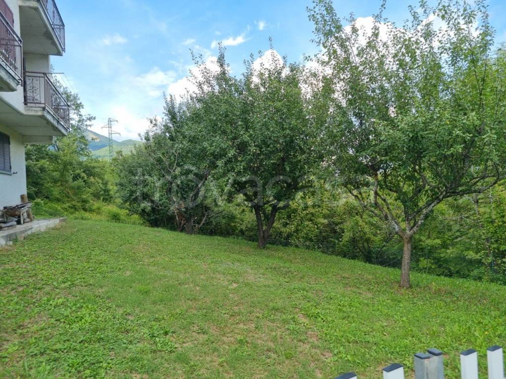 immagine annuncio 4 di 13