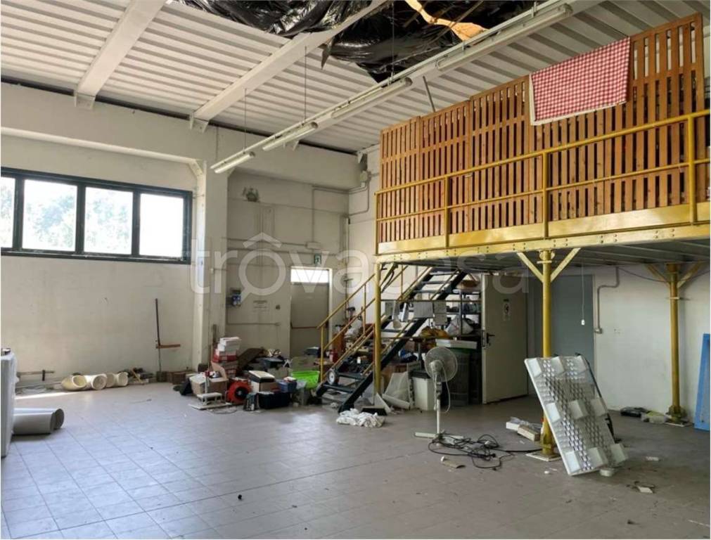 immagine annuncio 9 di 15