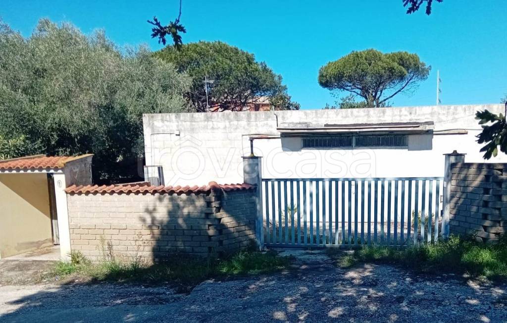 immagine annuncio 4 di 12