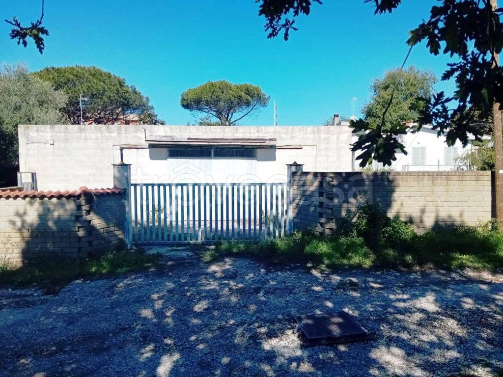 immagine annuncio 5 di 12