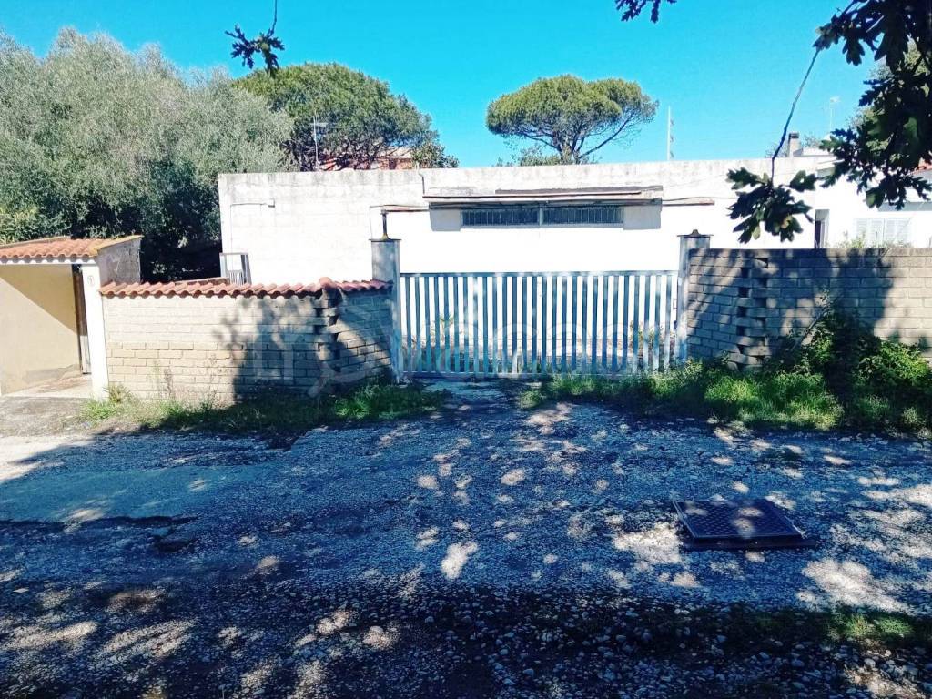 immagine annuncio 6 di 12