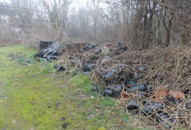 immagine annuncio 2 di 8