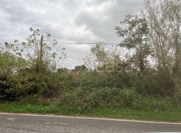 immagine annuncio 1 di 8