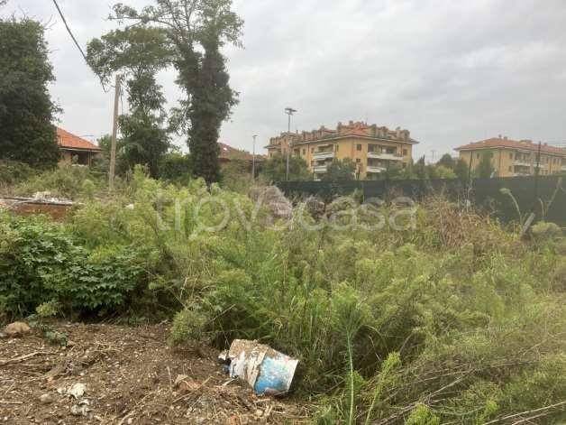 immagine annuncio 2 di 8