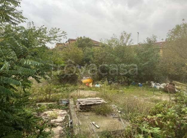 immagine annuncio 3 di 8