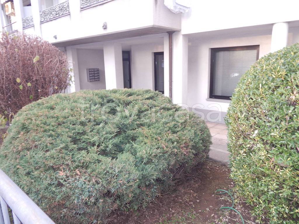 immagine annuncio 2 di 12