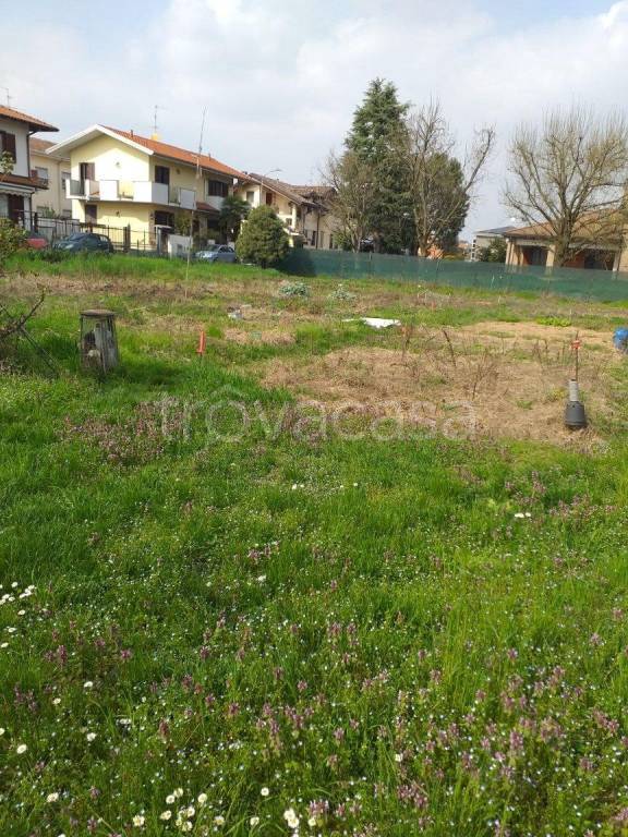 immagine annuncio 11 di 15