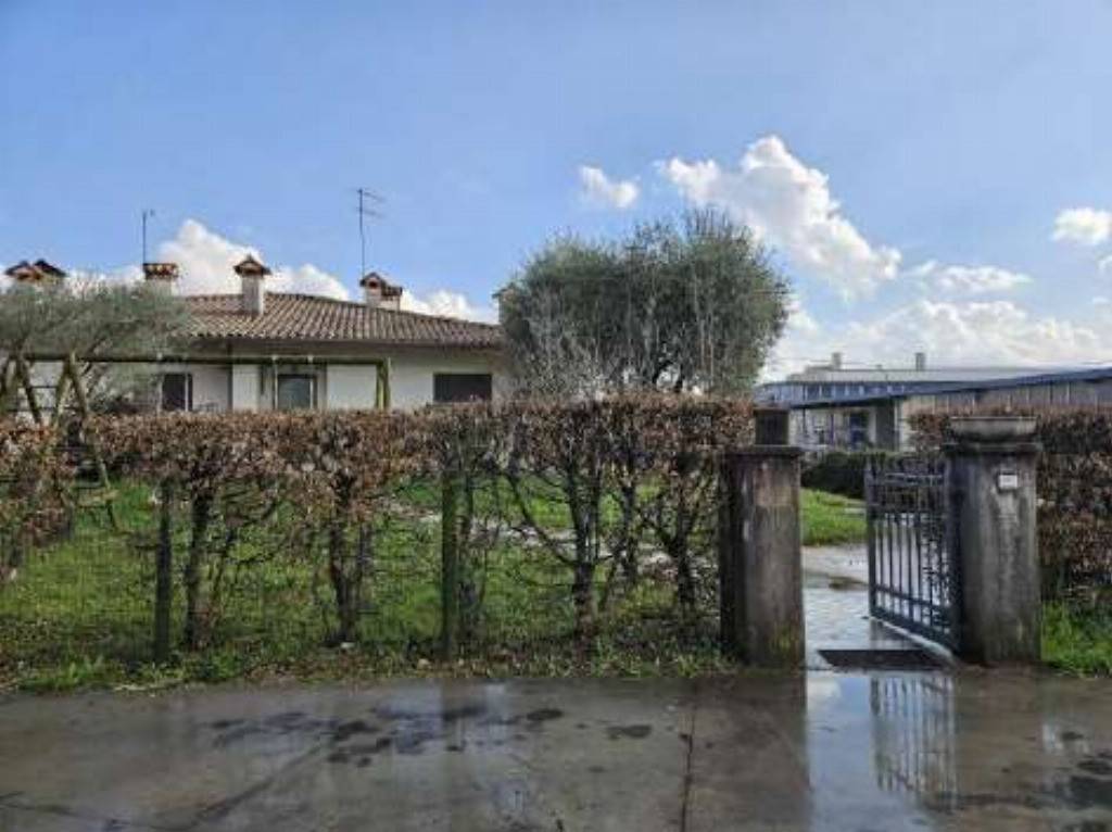 immagine annuncio 3 di 11