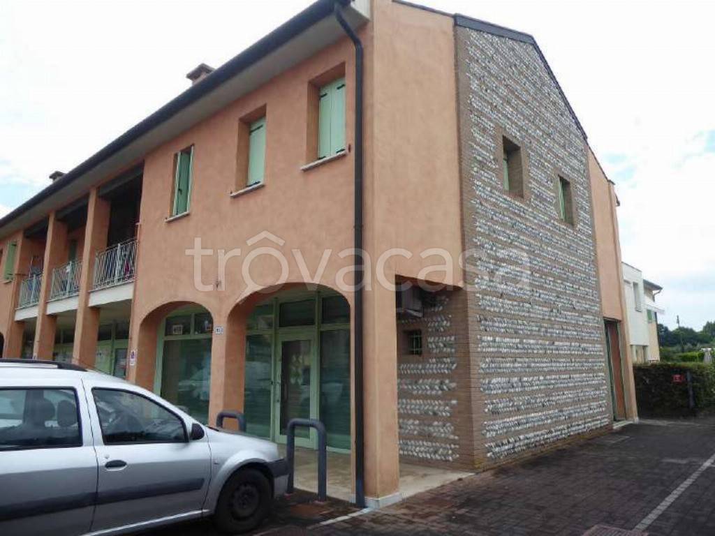 immagine annuncio 1 di 14