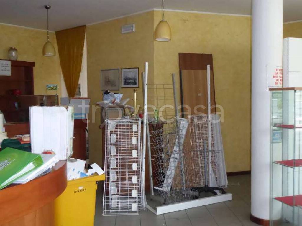 immagine annuncio 3 di 14