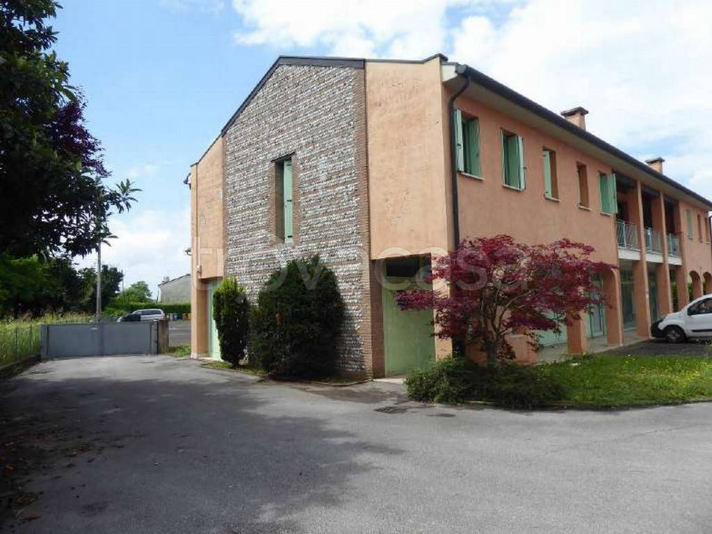 immagine annuncio 6 di 14