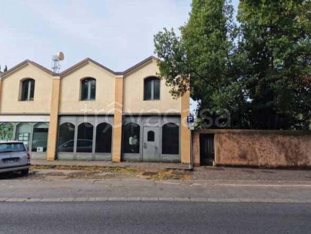 immagine annuncio 1 di 6