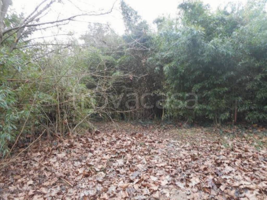 immagine annuncio 6 di 14